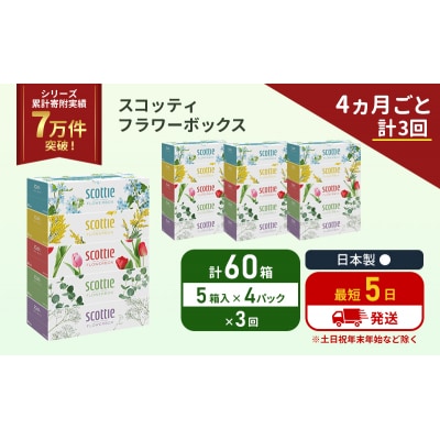 定期便 ティッシュ スコッティ 60箱 (5箱×4P)《計3回》[No.5704-1132]