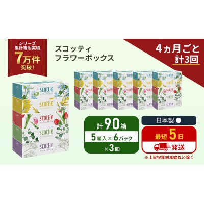 定期便 ティッシュ スコッティ  90箱 (5箱×6P)《計3回》[No.5704-1133]