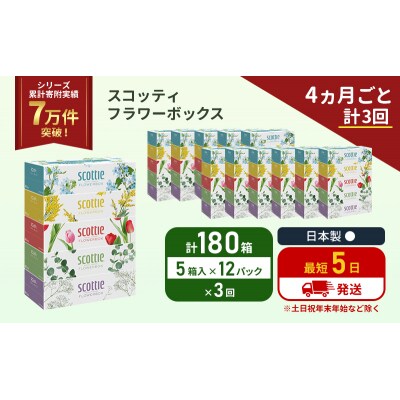定期便 ティッシュ スコッティ  180箱 (5箱×12P)《計3回》[No.5704-1134]