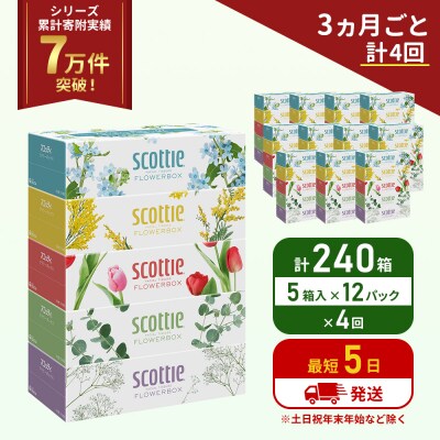 定期便 ティッシュ スコッティ240箱 (5箱×12P)《計4回》[No.5704-1138]