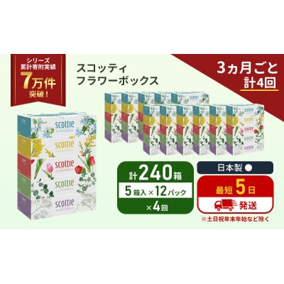 定期便 ティッシュ スコッティ240箱 (5箱×12P)《計4回》[No.5704-1138]
