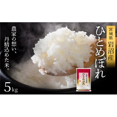 令和7年産 ひとめぼれ 5kg 米 コメ 精米 宮城県 岩沼市[No.5704-1207]