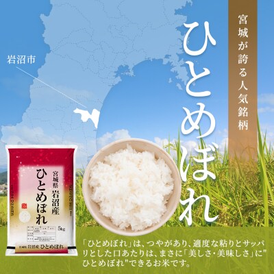 令和7年産 ひとめぼれ 5kg 米 コメ 精米 宮城県 岩沼市[No.5704-1207]