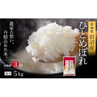 【3ヶ月連続定期便】令和7年産 ひとめぼれ 5kg×3回 米 精米[No.5704-1209]