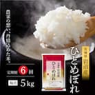 【先行予約/6ヶ月連続定期便】令和7年産新米 ひとめぼれ 5kg×6回[No.5704-1210]