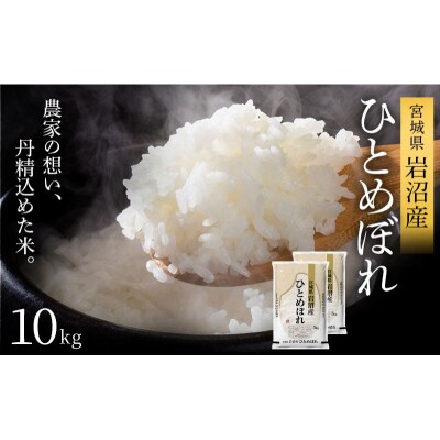 【令和8年産 】 ひとめぼれ 10kg 宮城県産 宮城米
