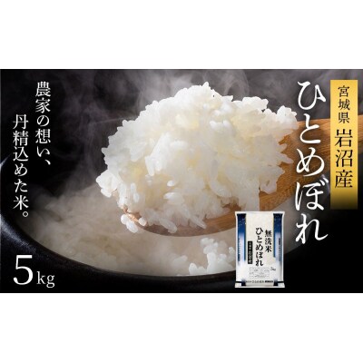 【令和8年産 】 無洗米 ひとめぼれ 5kg 宮城県産 宮城米
