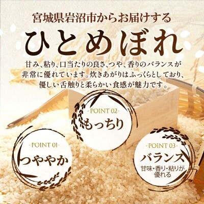 【令和8年産 】 無洗米 ひとめぼれ 10kg 宮城県産 宮城米