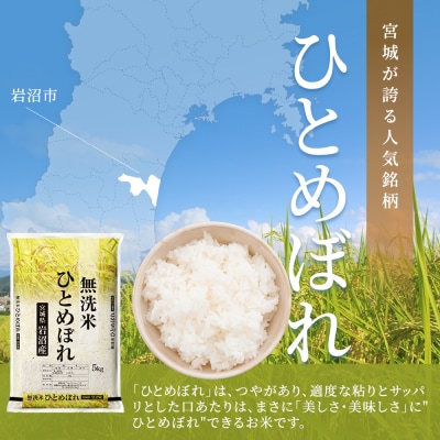 【先行予約2ヶ月定期便】令和7年産新米 ひとめぼれ 10kg×2 無洗米[No.5704-1220]