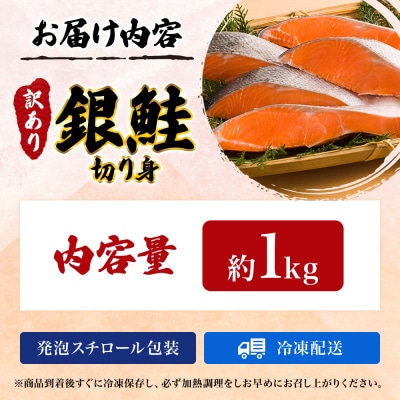 訳あり 銀鮭 切り身 1kg セット[No.5704-0883]