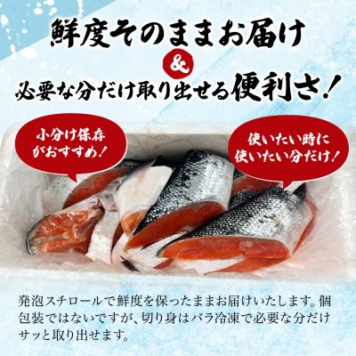 訳あり 銀鮭 切り身 1.4kg セット[No.5704-0884]