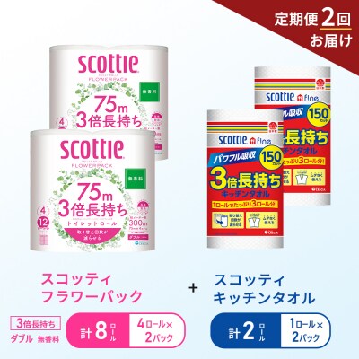 【6ヶ月ごと計2回お届け】キッチンペーパー+トイレットペーパー無香料2P[No.5704-1761]