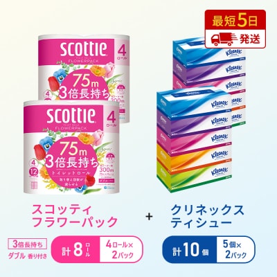 ティッシュ+トイレットペーパー2P   [No.5704-1776]