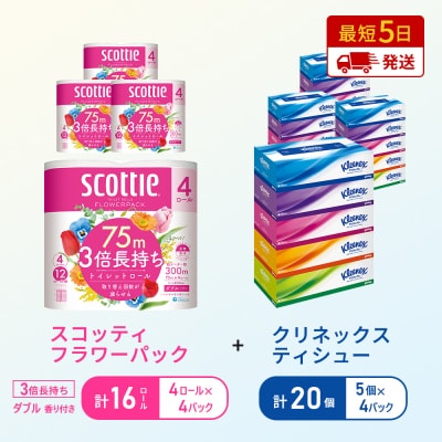 ティッシュ+トイレットペーパー4P   [No.5704-1778]