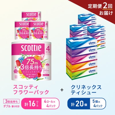 【6ヶ月ごと計2回お届け】ティッシュ+トイレットペーパー4P   [No.5704-1779]