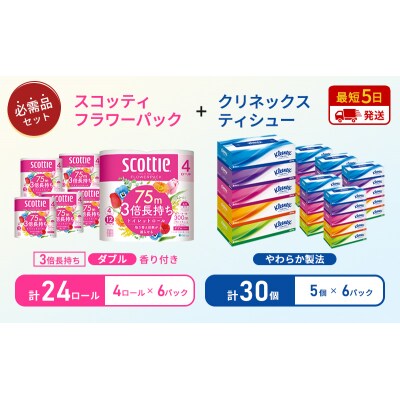 ティッシュ+トイレットペーパー6P   [No.5704-1780]