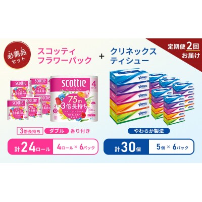 【6ヶ月ごと計2回お届け】ティッシュ+トイレットペーパー6P   [No.5704-1781]