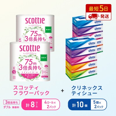 ティッシュ+トイレットペーパー無香料2P[No.5704-1782]