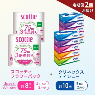 【6ヶ月ごと計2回お届け】ティッシュ+トイレットペーパー無香料2P[No.5704-1783]