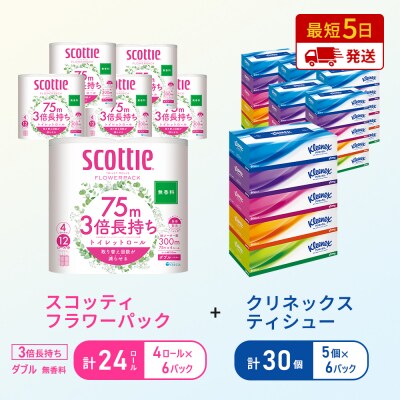 ティッシュ+トイレットペーパー無香料6P[No.5704-1786]