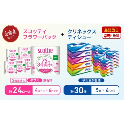 ティッシュ+トイレットペーパー無香料6P[No.5704-1786]