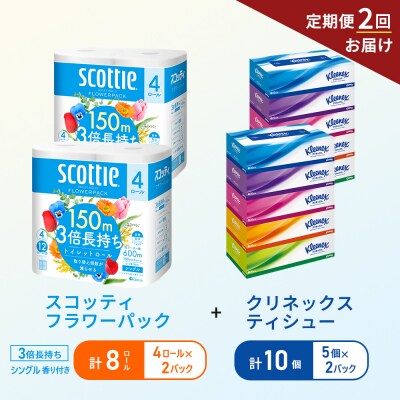 【6ヶ月ごと計2回お届け】ティッシュ+トイレットペーパー2P[No.5704-1793]