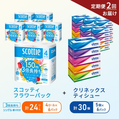 【6ヶ月ごと計2回お届け】ティッシュ+トイレットペーパー6P[No.5704-1797]