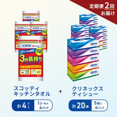 【6ヶ月ごと計2回お届け】ティッシュ+キッチンペーパー4P[No.5704-1801]