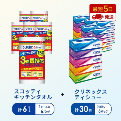 ティッシュ+キッチンペーパー6P[No.5704-1802]