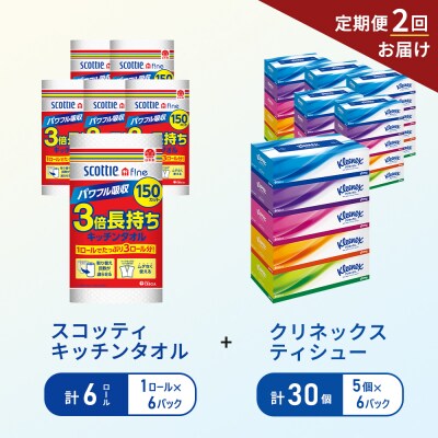 【6ヶ月ごと計2回お届け】ティッシュ+キッチンペーパー6P[No.5704-1803]