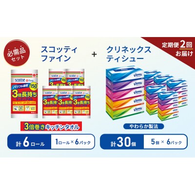 【6ヶ月ごと計2回お届け】ティッシュ+キッチンペーパー6P[No.5704-1803]