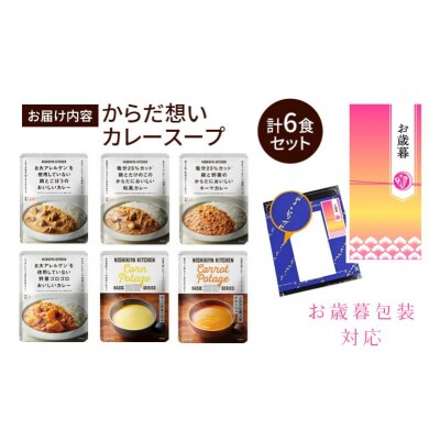 【お歳暮】レトルト からだ想いカレースープ6食セット にしき[No.5704-1848]