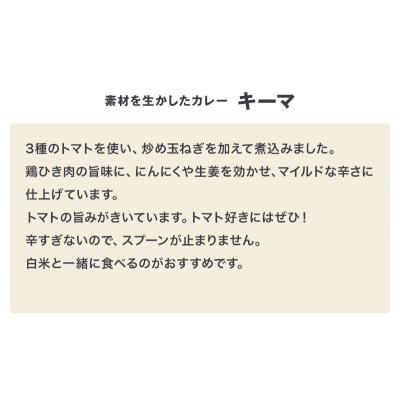 無印良品 素材を生かしたカレー キーマ 180g×10個 セット[No.5704-0694]
