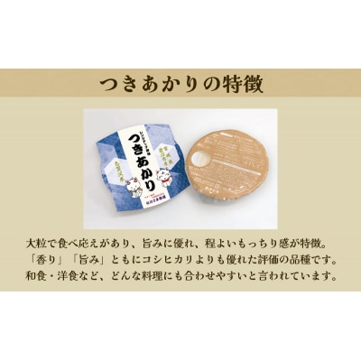 【令和7年産】 つきあかり 志賀沢米レンジアップごはん20個セット[No.5704-1733]