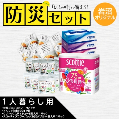 防災セット1人暮らし用 [№5704-1873]