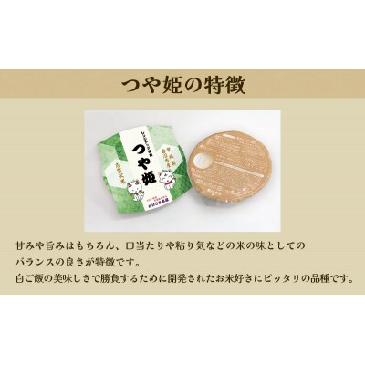 【令和7年産】3ヵ月定期便 つや姫 レンジアップごはん 20個[No.5704-0932]
