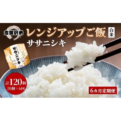 【令和7年産】6ヵ月定期便 ササニシキ レンジアップごはん 20個[No.5704-0942]
