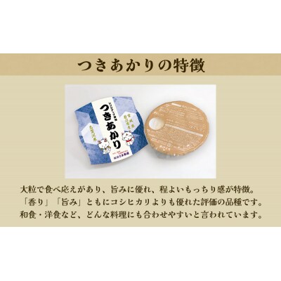【令和7年産】6ヵ月定期便 つきあかり レンジアップごはん 20個[No.5704-0946]