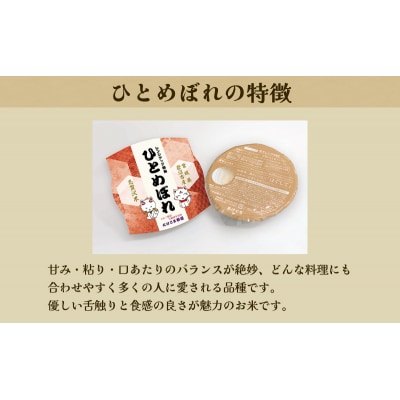 【令和7年産】6ヵ月定期便 ひとめぼれ レンジアップごはん 20個[No.5704-0950]