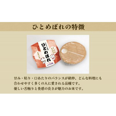 【令和7年産】6ヵ月定期便 ひとめぼれ レンジアップごはん 20個[No.5704-0950]