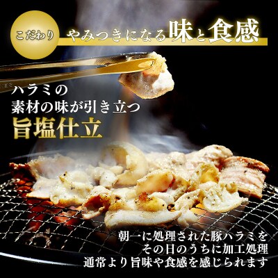 利久のやみつきホルモン 旨塩豚ハラミ90g×2P[No.5704-1867]