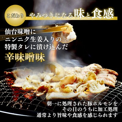 利久のやみつきホルモン 辛味噌豚ホルモン2個セット130g×2P[No.5704-1868]
