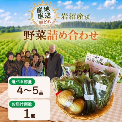 宮城県 岩沼産 産地直送 朝どれ 新鮮野菜 4～5種類 詰め合わせセット
