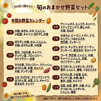 宮城県 岩沼産 産地直送 朝どれ 新鮮野菜 4～5種類 詰め合わせセット