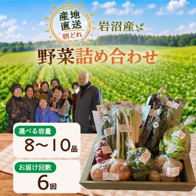 【定期便6ヶ月】宮城県 岩沼産 産地直送 朝どれ 新鮮野菜 8～10種類 詰め合わせセット