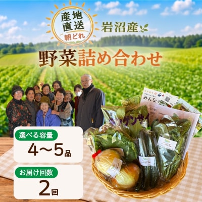 【定期便2ヶ月】宮城県 岩沼産 産地直送 朝どれ 新鮮野菜 4～5種類 詰め合わせセット
