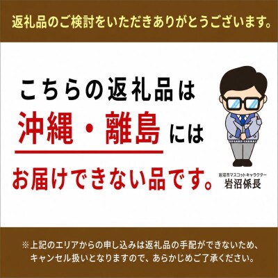 【定期便3ヶ月】宮城県 岩沼産 産地直送 朝どれ 新鮮野菜 4～5種類 詰め合わせセット