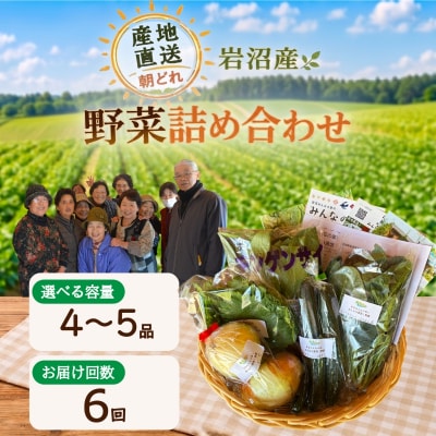 【定期便6ヶ月】宮城県 岩沼産 産地直送 朝どれ 新鮮野菜 4～5種類 詰め合わせセット