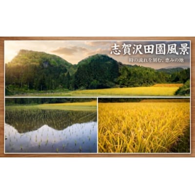 【 令和8年産 】新米 食べ比べセット 定期便 10kg 6ヶ月