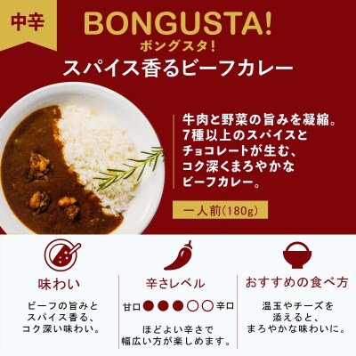 レトルト カレー 3種3個 「ボングスタ!」